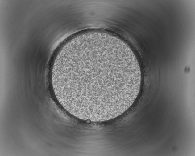 X0000114220975200911201042