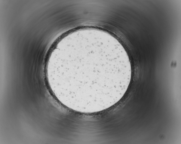 X0000114220976200911201042