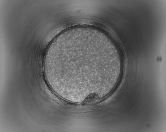 X0000114220977200911201042