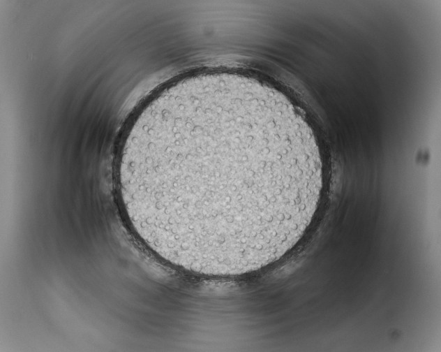 X0000114220978200911201042