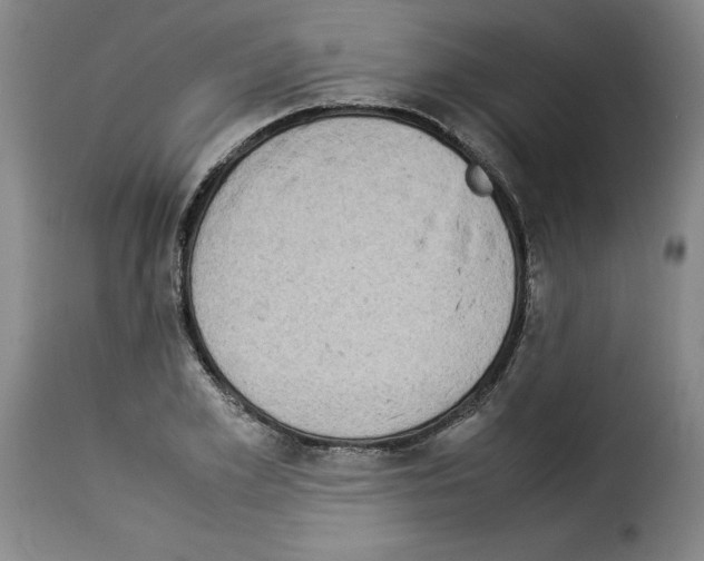 X0000114220981200911201042