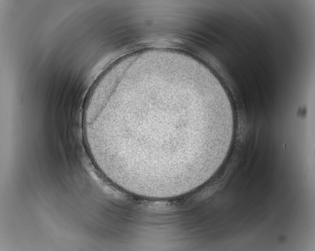 X0000114220986200911201041