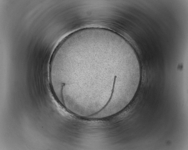 X0000114220988200911201041