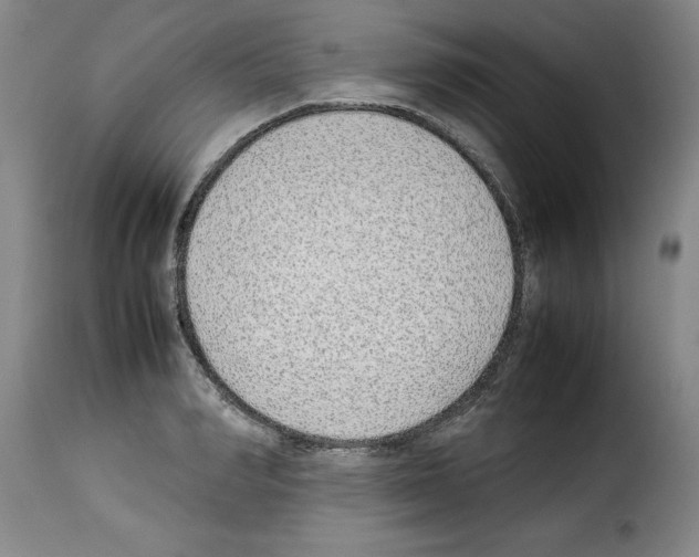 X0000114220990200911201041