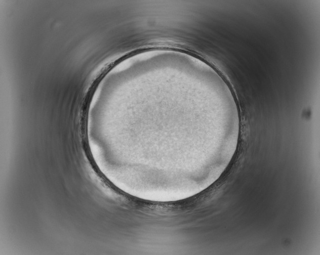 X0000114220995200911201041