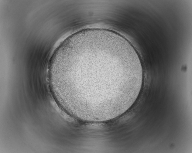 X0000114220998200911201041