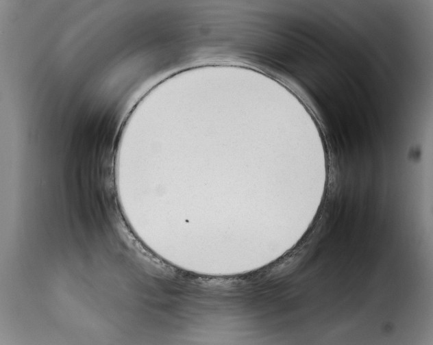 X0000114221004200911201041