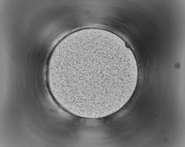 X0000114221007200911201041