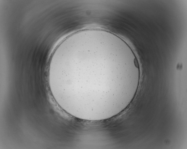 X0000114221008200911201041