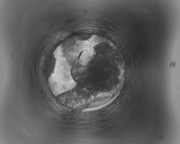 X0000114221009200911201040