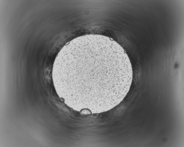 X0000114221010200911201040