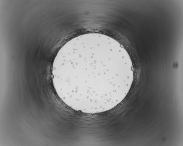 X0000114221012200911201040
