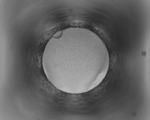 X0000114221013200911201040