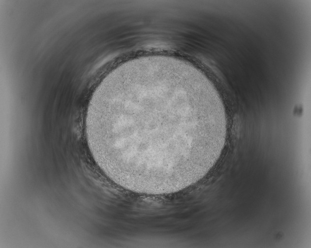 X0000114221015200911201040