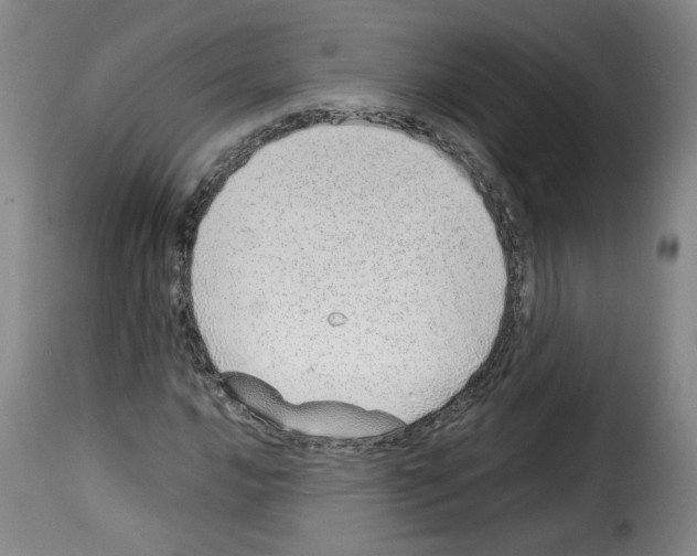 X0000114221016200911201040