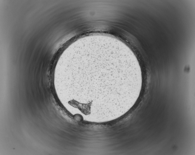 X0000114221018200911201040