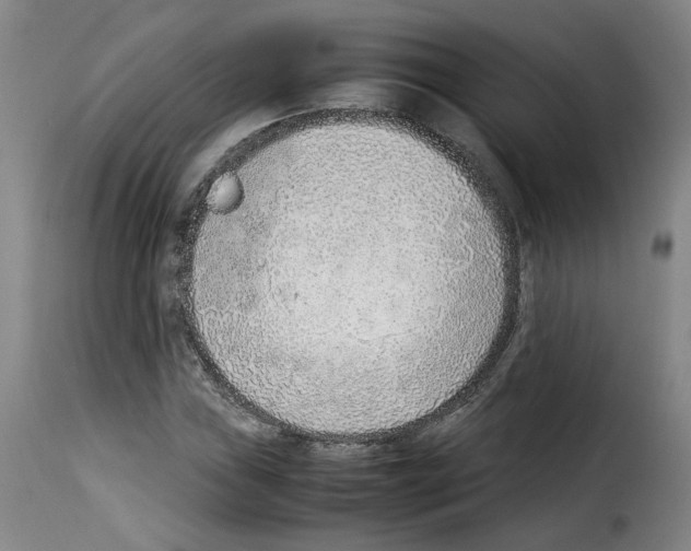 X0000114221019200911201040
