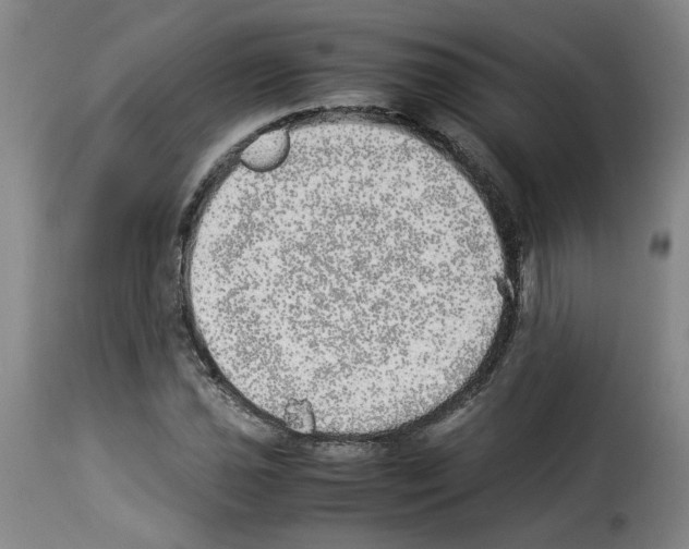 X0000114221021200911201041