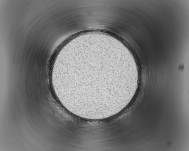 X0000114221022200911201041