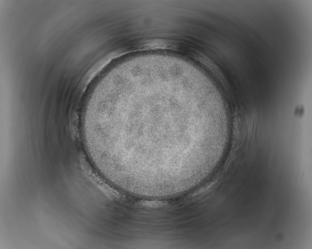 X0000114221023200911201041