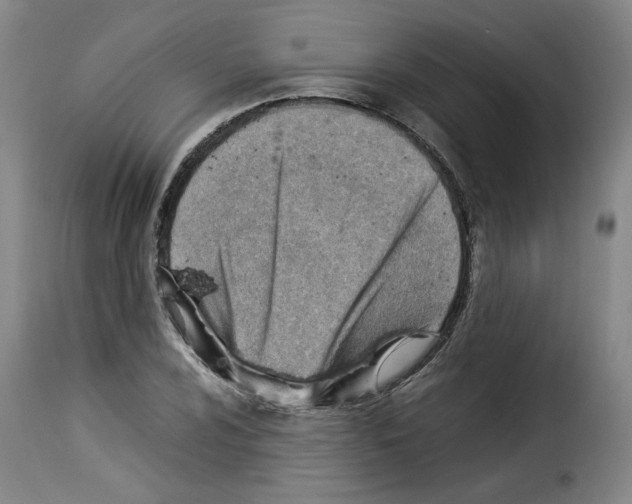 X0000114221024200911201041