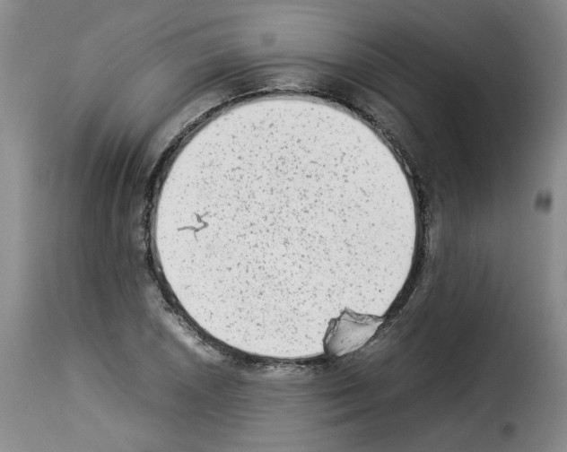 X0000114221026200911201041