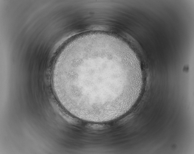 X0000114221027200911201041