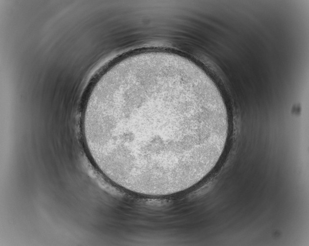 X0000114221029200911201041