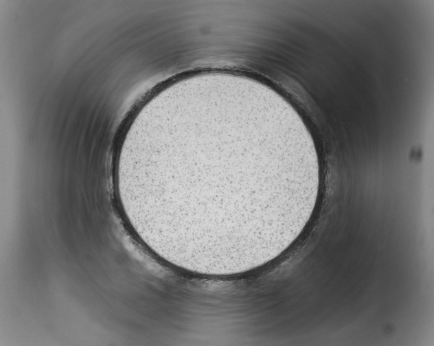 X0000114221030200911201041