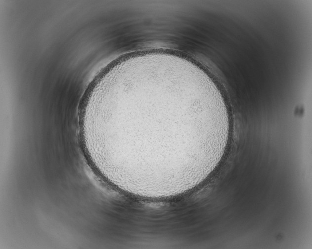 X0000114221031200911201041
