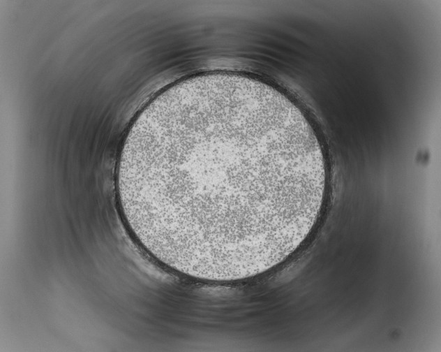 X0000114221033200911201041