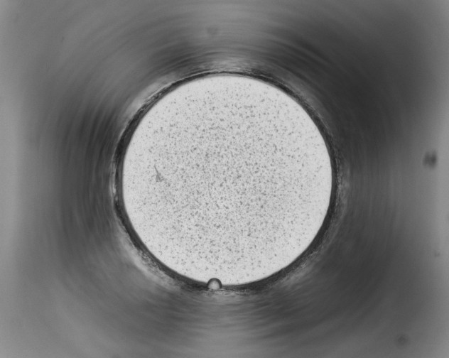 X0000114221034200911201041
