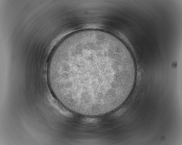 X0000114221035200911201041