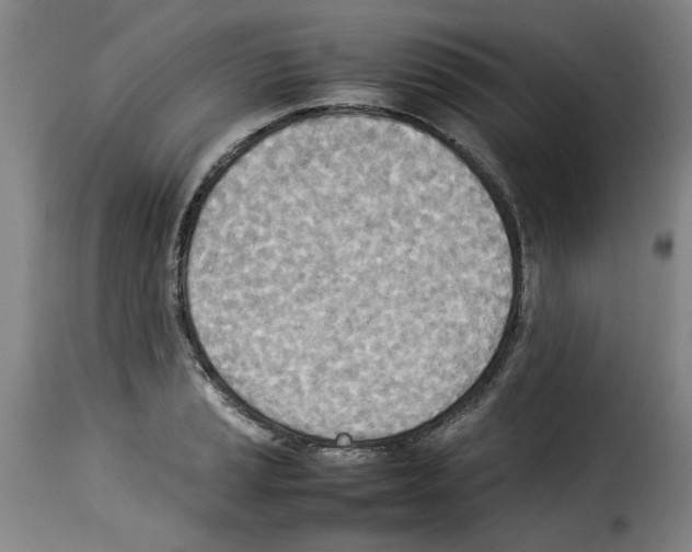 X0000114221037200911201041
