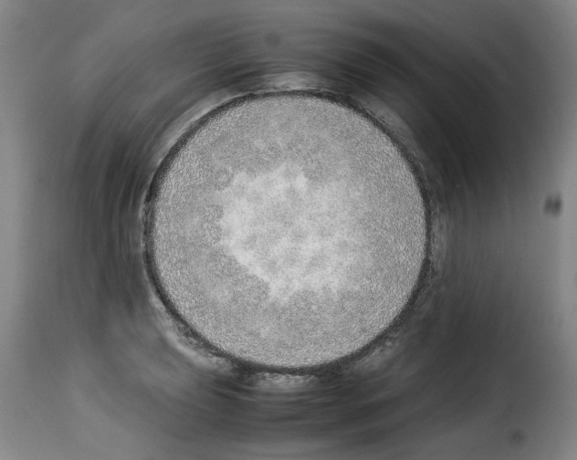 X0000114221039200911201041
