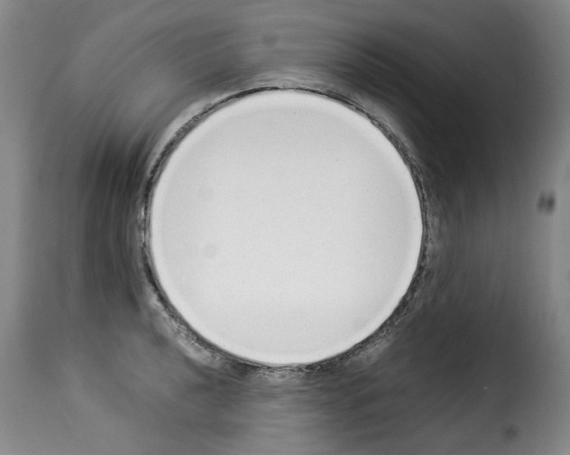 X0000114221040200911201041