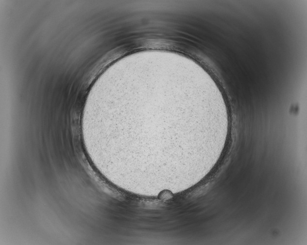 X0000114221041200911201041