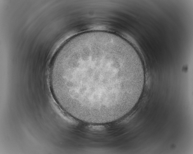 X0000114221043200911201041
