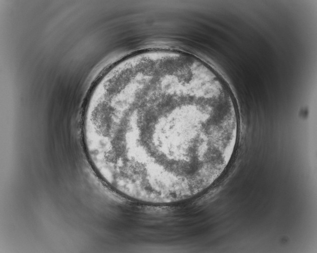 X0000114221045200911201041