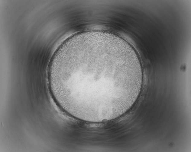X0000114221047200911201041