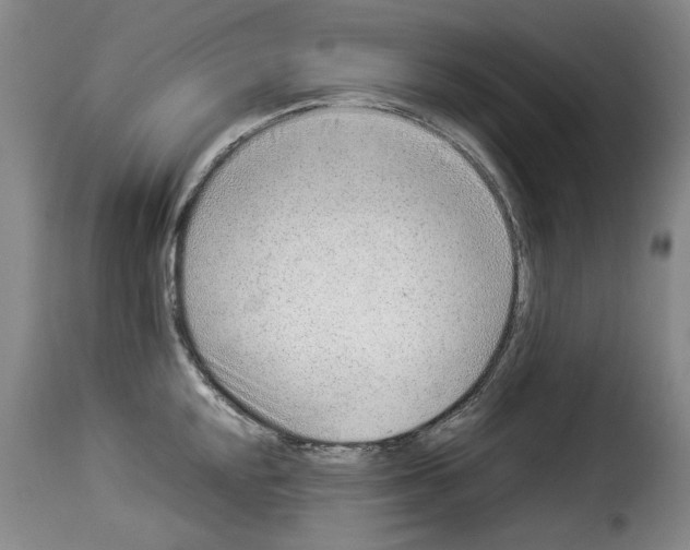 X0000114221048200911201041