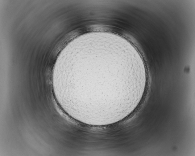 X0000114221049200911201041