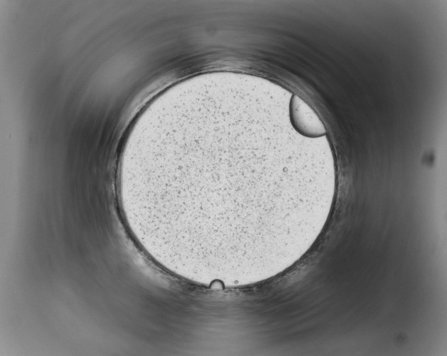 X0000114221050200911201041