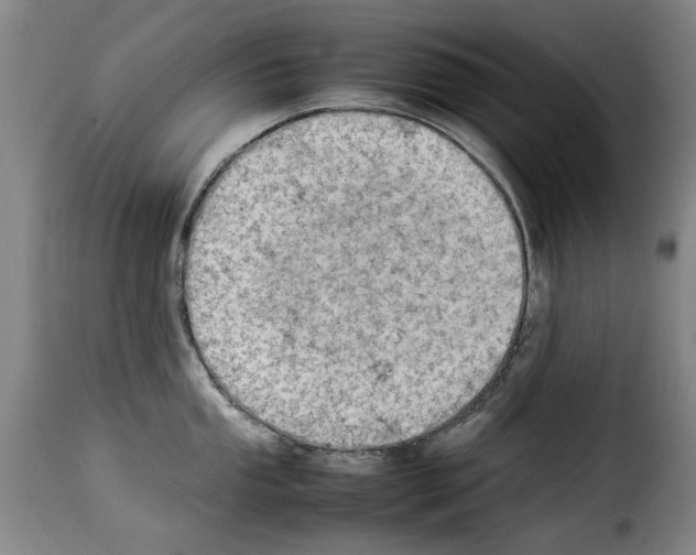 X0000114221053200911201041