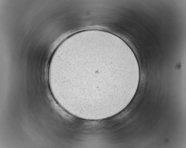 X0000114221054200911201041
