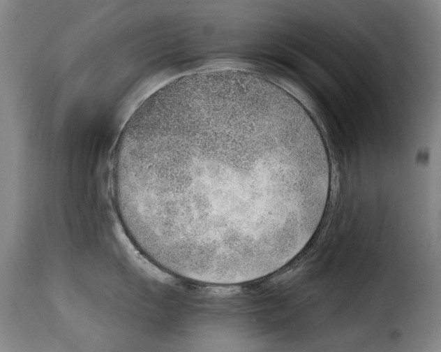 X0000114221055200911201041