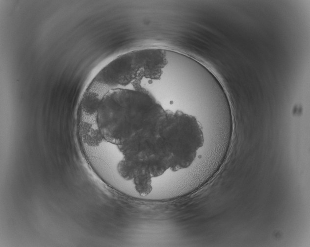 X0000114221056200911201041