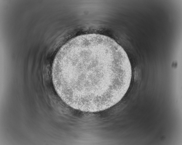 X0000114221059200911201040