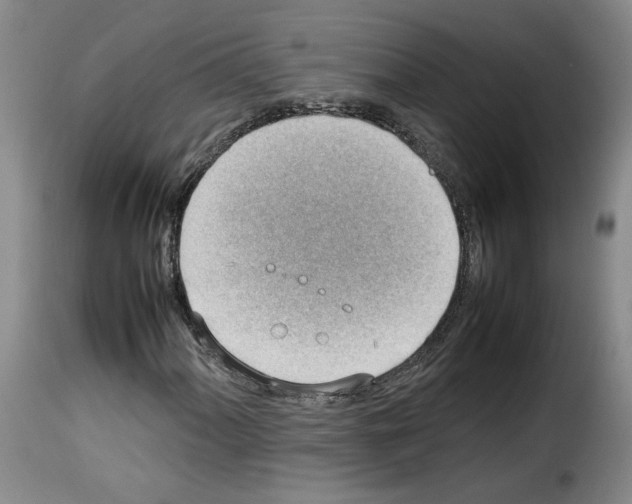 X0000114221060200911201040
