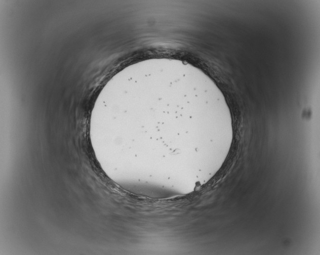 X0000114221061200911201040